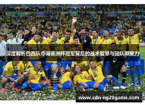 深度解析巴西队夺得美洲杯冠军背后的战术智慧与团队凝聚力